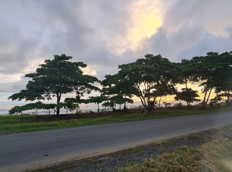13 Fully Titled Ocean Front Lots in Playa Hermosa